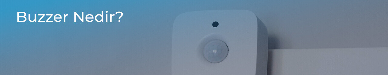 Buzzer Nedir?